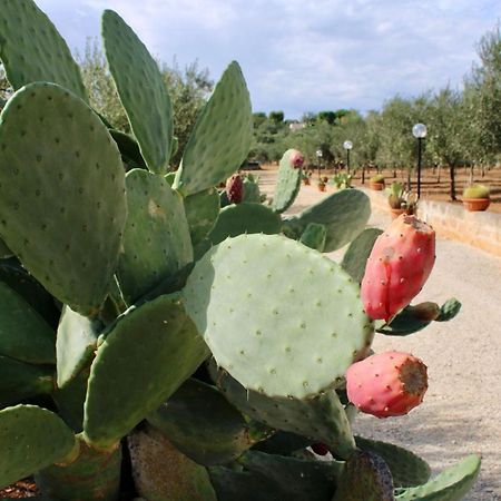 I Trulli Di Gina Appartamento Trullo 6 Persone Monopoli Εξωτερικό φωτογραφία