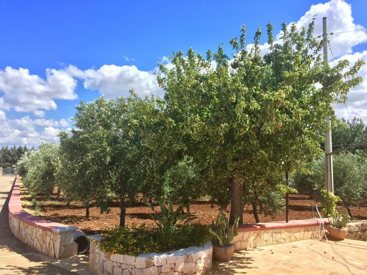 I Trulli Di Gina Appartamento Trullo 6 Persone Monopoli Εξωτερικό φωτογραφία
